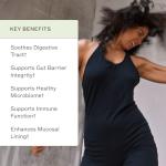 Amy Myers MD Leaky Gut Revive Supplement - 30 Servings