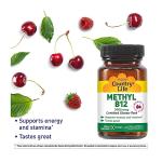 Country Life Vegan Methyl B-12 Lozenges, 3000 mcg
