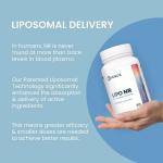 RENUE Liposomal NAD Supplement | 90 Capsules