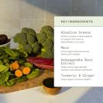 Organic Greens Powder for Energy and Gut Health