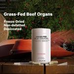 Grass Fed Beef Organ Supplement Capsules - 180 Count
