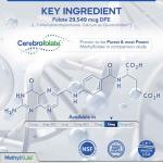 Methyl-Life® L-Methylfolate 15 mg Chewable Tablets