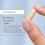 Amy Myers MD Histazyme DAO Enzyme Supplement