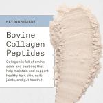 Paleo Protein Powder - Strawberries & Cream 20 Servings