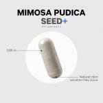 Organic Mimosa Pudica Seed Capsules with Herbs