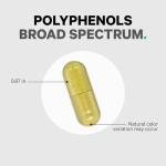 Polyphenols Blend with Berries, Fruits & Herbal Extracts 120 Capsules