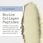 Amy Myers MD Paleo Protein with Collagen Peptides