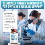 Benevolent NAD+ Supplement 1050mg for Health & Energy