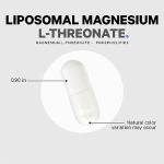 Liposomal Magnesium L-Threonate for Brain Support