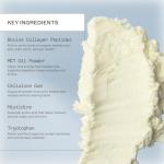 Amy Myers MD Paleo Protein Unflavored - 21.59 oz