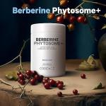 Codeage Berberine Phytosome Supplement - 60 Capsules
