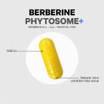 Codeage Berberine Phytosome Supplement - 60 Capsules