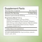 Amy Myers MD Acid Restore for Gut Health