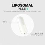 Codeage Liposomal NAD+ Supplement - 500 mg, Vegan Capsules