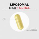 Liposomal NAD+ with Resveratrol and Vitamin B