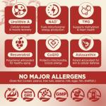 Urolithin A Gummies for Healthy Aging & Strength