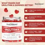 Urolithin A Gummies for Healthy Aging & Strength