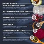 NMN Supplement + NR with Resveratrol & TMG 60 Caps