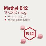 Protocol Methyl B12 10,000mcg - Energy & Brain Boost