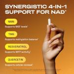 Cata-Kor NMN 1000mg - 4-in-1 Energy Support