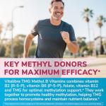 Vitalibre TMG Methyl B Complex - 240 Vegan Caps