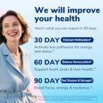 Vitalibre TMG Methyl B Complex - 240 Vegan Caps