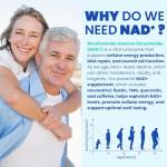 NAD+ Supplement - Energy, DNA Repair & Aging Support