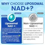 NAD+ Supplement - Energy, DNA Repair & Aging Support