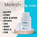 LIFEDNA Methylated Folate Vitamins for Brain Health