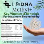 LIFEDNA Methylated Folate Vitamins for Brain Health