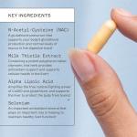 Amy Myers MD Liver Support Detox - 60 Caps