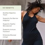 Amy Myers MD Leaky Gut Revive Strawberry Lemonade