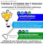 Methylated B Complex for Brain and Heart Support