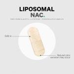 Liposomal NAC Supplement - Vegan, 120 Capsules