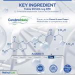 Methyl-Life L-Methylfolate 15 mg - Pure Formula