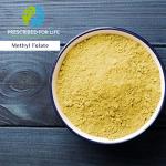 Methyl Folate Powder for Brain Health Support