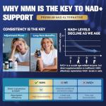 Liposomal NMN Supplement with Resveratrol & CoQ10