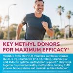 Vitalibre TMG Methyl B Complex - 240 Vegan Caps