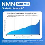 Florvay NMN NAD Supplement with Resveratrol - 1230mg