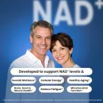 Florvay NMN NAD Supplement with Resveratrol - 1230mg