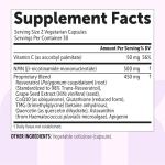 NMN Complex 1,000mg - 10-in-1 NAD+ Boost