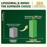 Nicotinamide Mononucleotide Supplement with Resveratrol, 120 Capsules