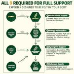 Nicotinamide Mononucleotide Supplement with Resveratrol, 120 Capsules