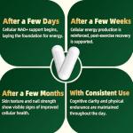 Nicotinamide Mononucleotide Supplement with Resveratrol, 120 Capsules