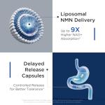 Liposomal NMN Supplement with Resveratrol and More