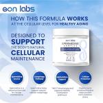 Spermidine Supplements with TMG & Antioxidants - 60 Caps