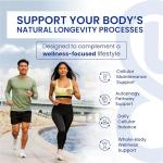 Spermidine Supplements with TMG & Antioxidants - 60 Caps