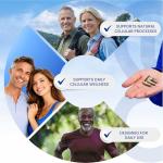 Spermidine Supplements with TMG & Antioxidants - 60 Caps