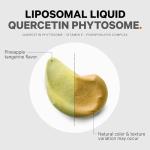 Liquid Quercetin Phytosome Supplement - 1000 mg