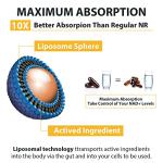 Orgabay Liposomal Nicotinamide Riboside 2000 MG